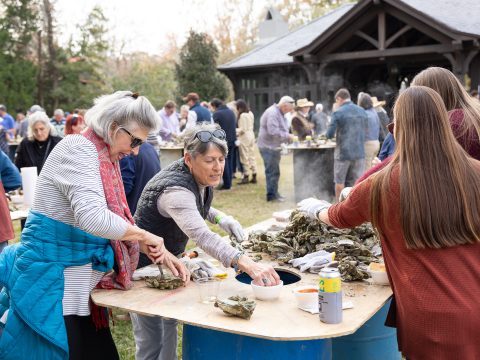 Charleston's Oyster Roast Season: A Lowcountry Tradition Worth Knowing